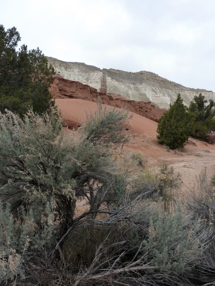 kodachrome basin (28).JPG